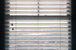 Looking through the blinds