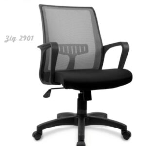 ZIG 2901