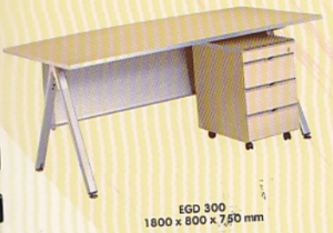 EGD 300